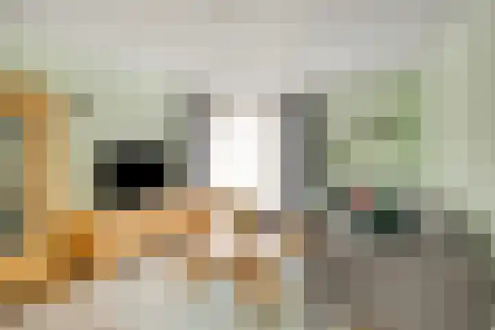Aan de Sniemeulen 7 Neer thumbnail 5