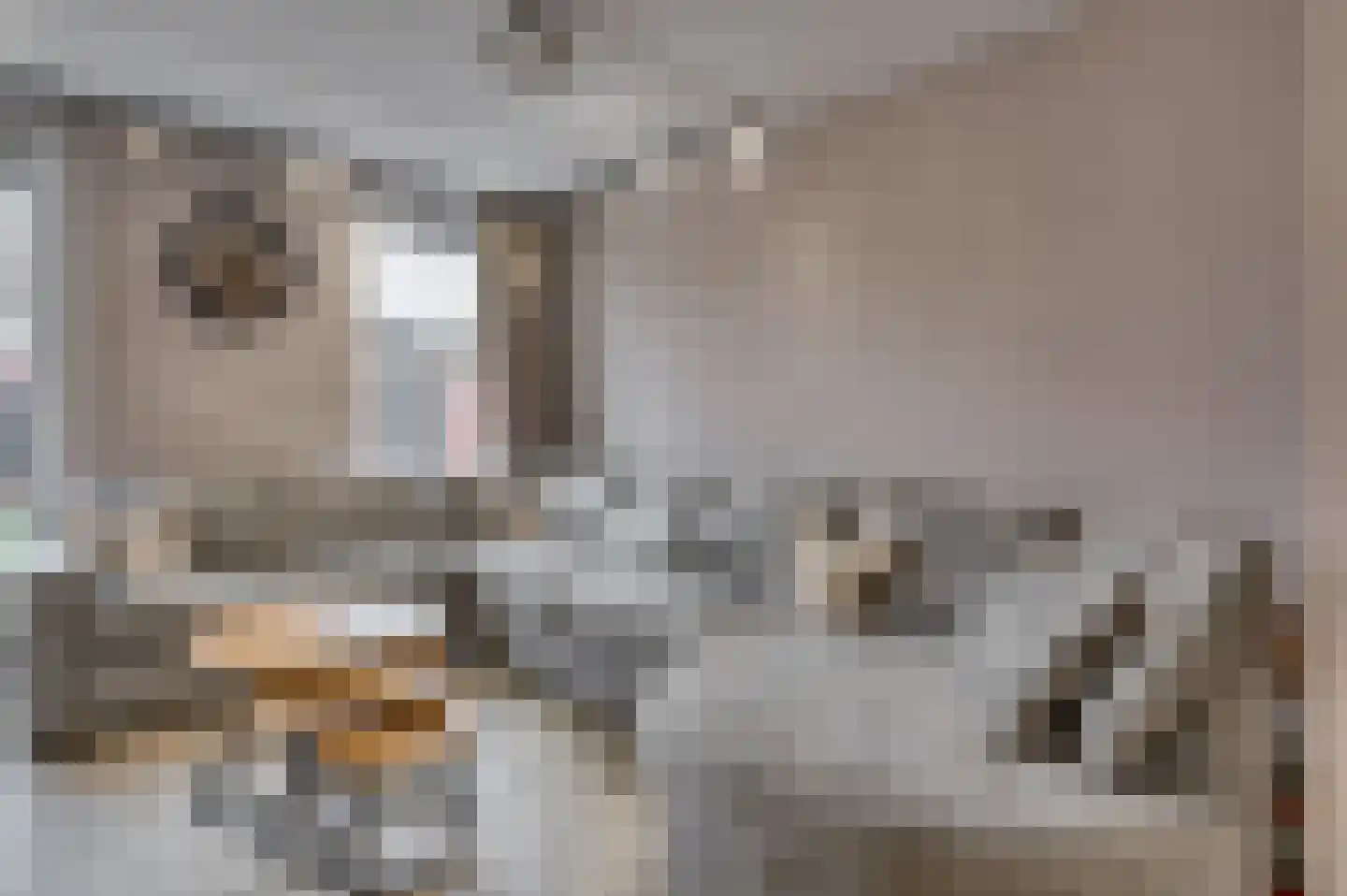 Aan de Sprunck 17 Swalmen thumbnail 10