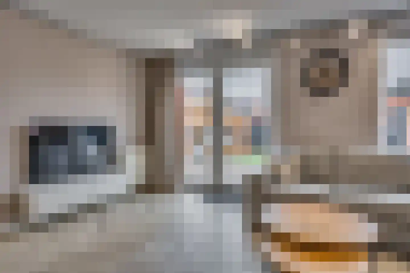 Aan de Sprunck 17 Swalmen thumbnail 11