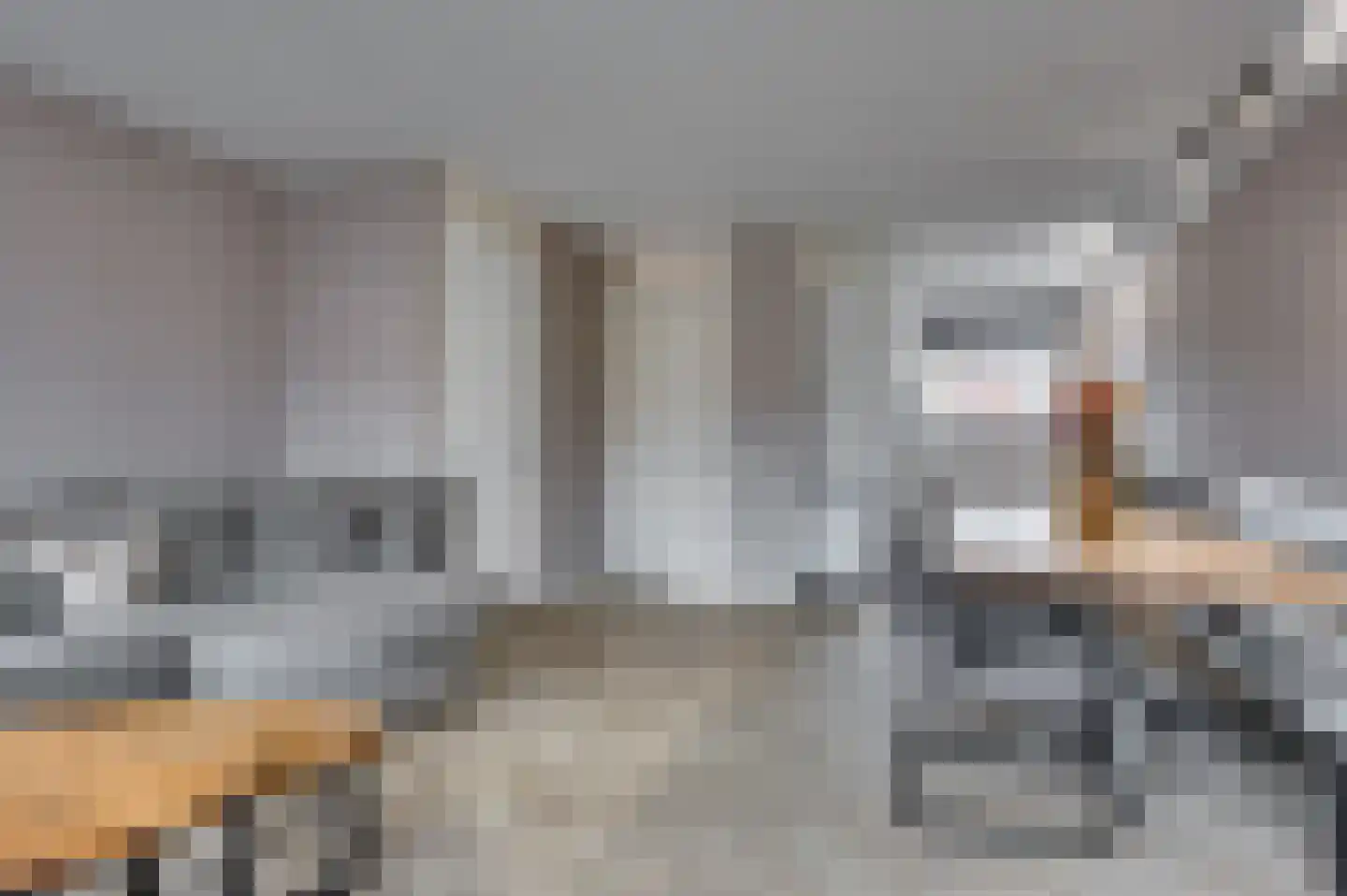 Aan de Sprunck 17 Swalmen thumbnail 12