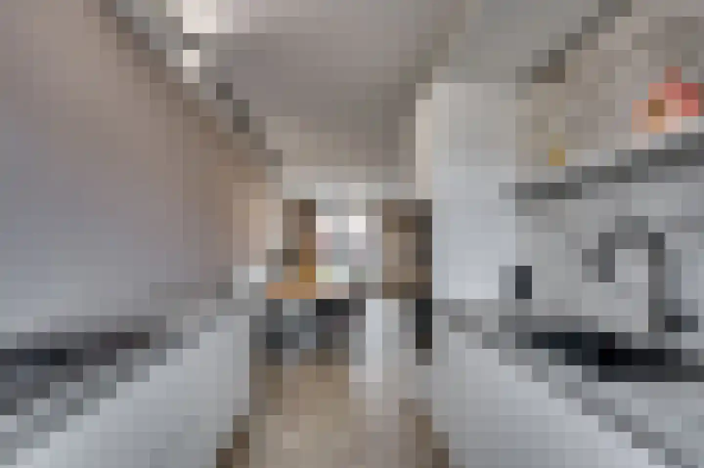 Aan de Sprunck 17 Swalmen thumbnail 15