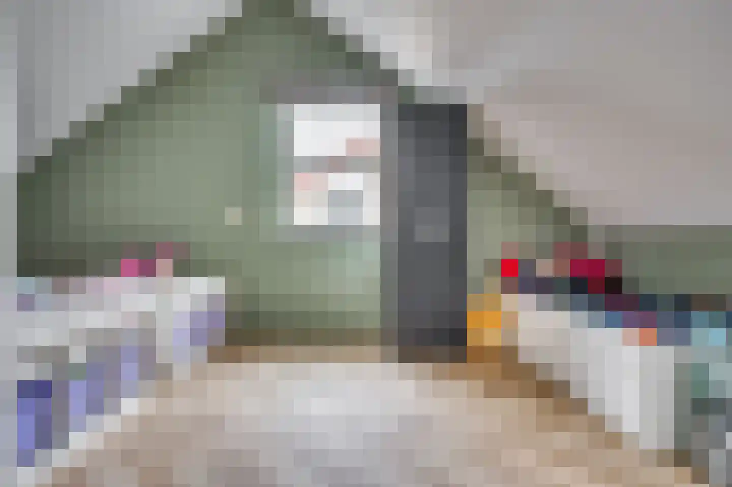 Aan de Sprunck 17 Swalmen thumbnail 27