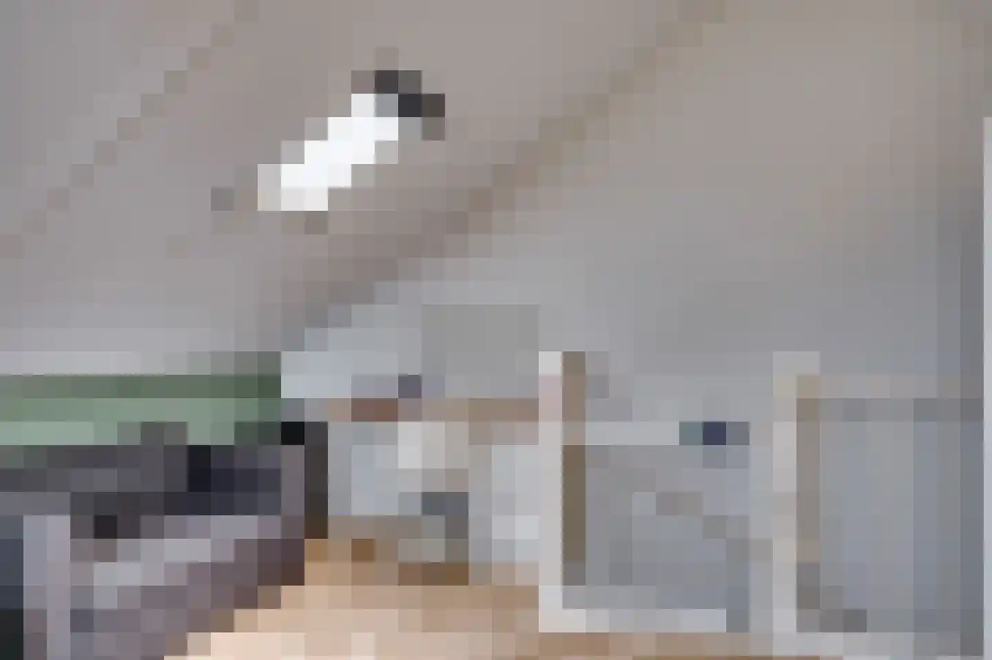 Aan de Sprunck 17 Swalmen thumbnail 29