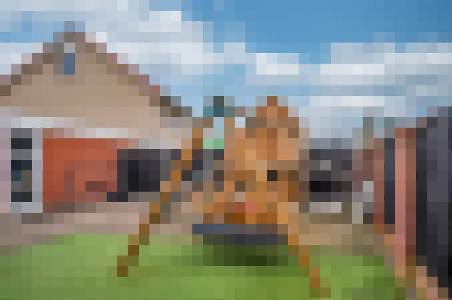 Aan de Sprunck 17 Swalmen thumbnail 33