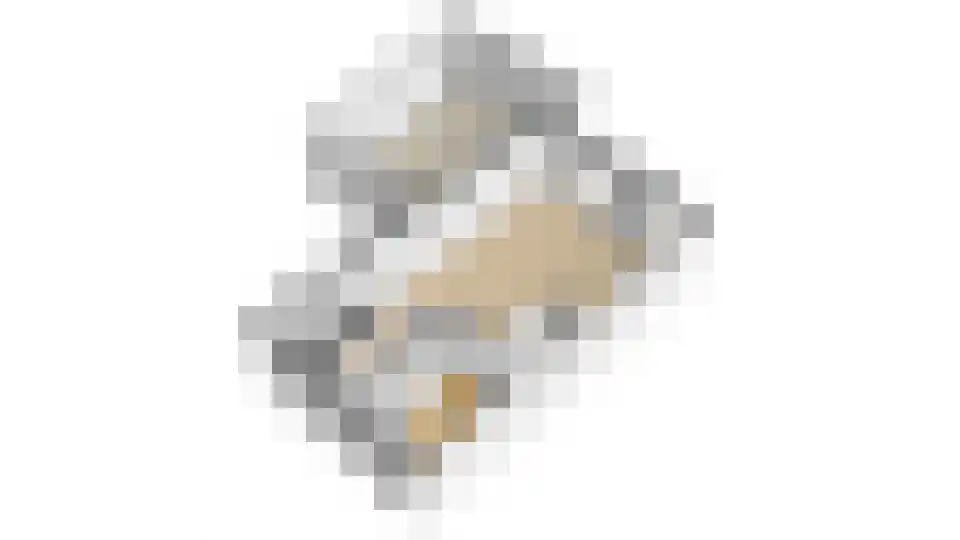 Aan de Sprunck 17 Swalmen thumbnail 42