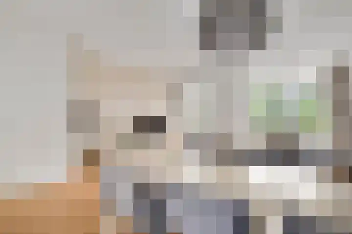 Aan de Sprunck 8 Swalmen thumbnail 10