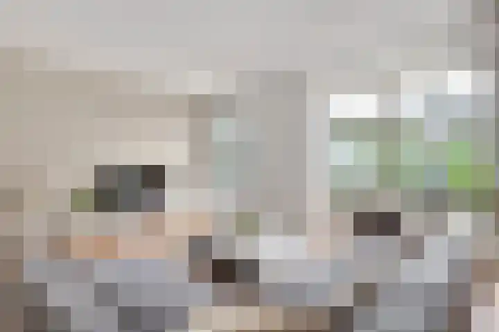 Aan de Sprunck 8 Swalmen thumbnail 12