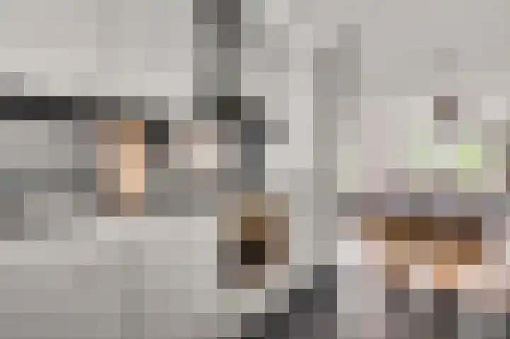 Aan de Sprunck 8 Swalmen thumbnail 14