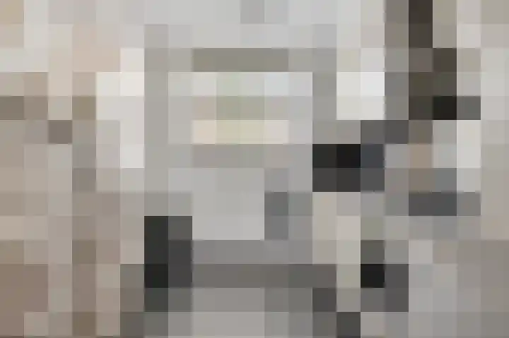 Aan de Sprunck 8 Swalmen thumbnail 15