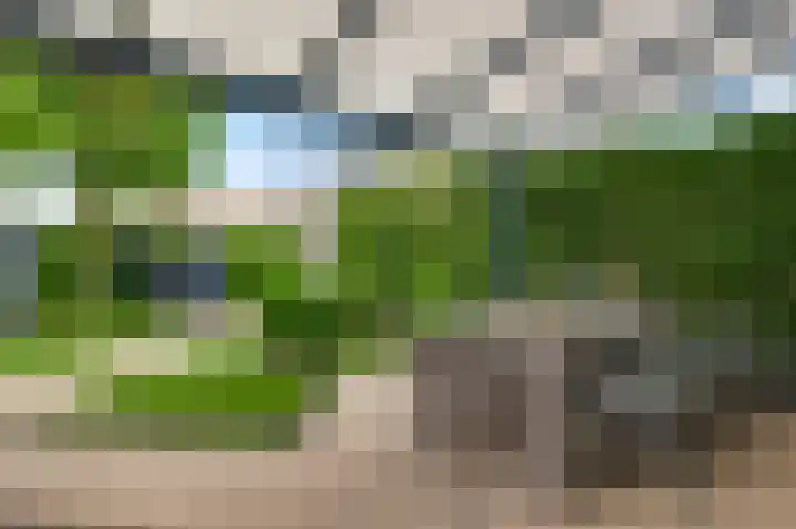 Aan de Sprunck 8 Swalmen thumbnail 16