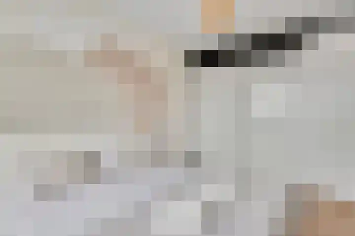 Aan de Sprunck 8 Swalmen thumbnail 26