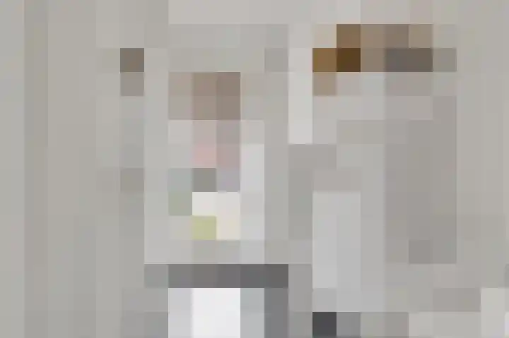 Aan de Sprunck 8 Swalmen thumbnail 6
