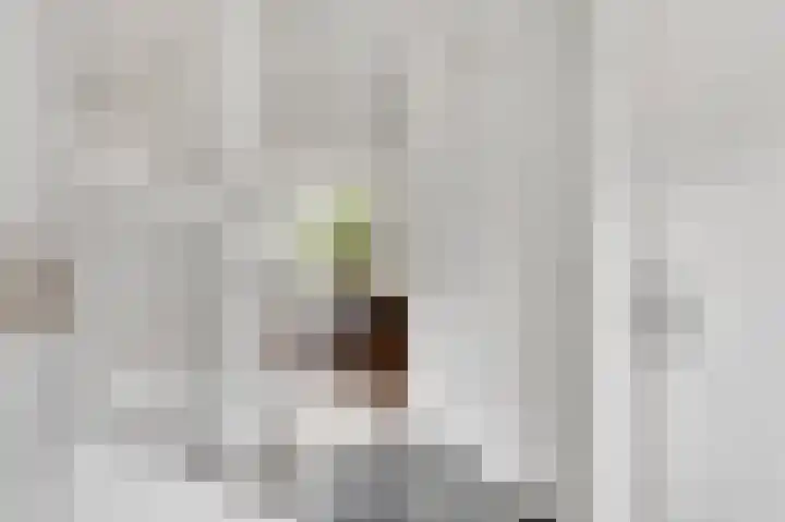 Aan de Sprunck 8 Swalmen thumbnail 7