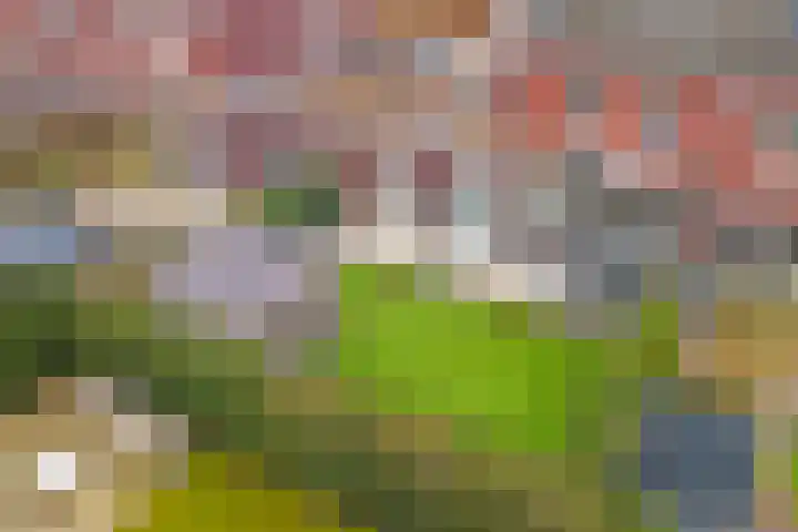 Aan de Staldijk 6 Baarlo thumbnail 30