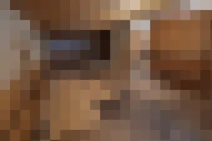 Aan de Statie 1 A Susteren thumbnail 33