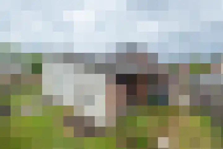 Aan de Statie 1 A Susteren thumbnail 4