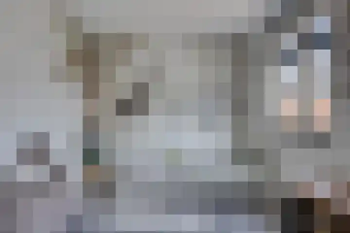 Aan de Vaarsloot 5 Ammerstol thumbnail 17