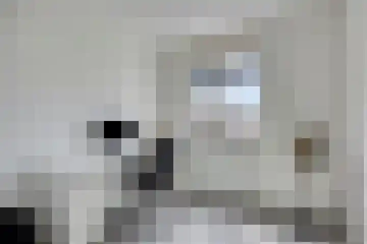 Aan de Vaarsloot 5 Ammerstol thumbnail 19