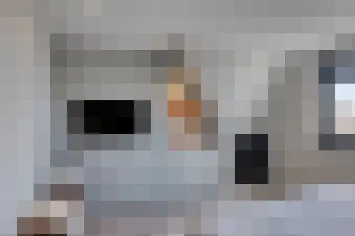 Aan de Vaarsloot 5 Ammerstol thumbnail 28