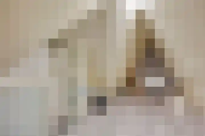 Aan de Vaarsloot 5 Ammerstol thumbnail 33