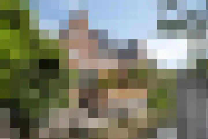 Aan de Vaarsloot 5 Ammerstol thumbnail 36
