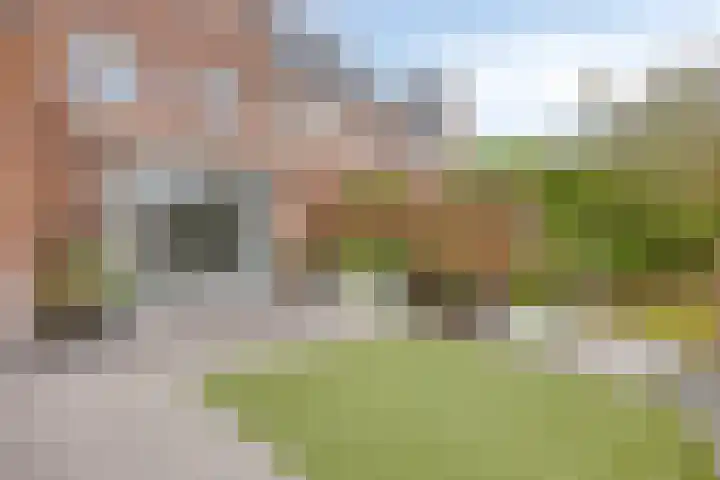 Aan de Vaarsloot 5 Ammerstol thumbnail 38