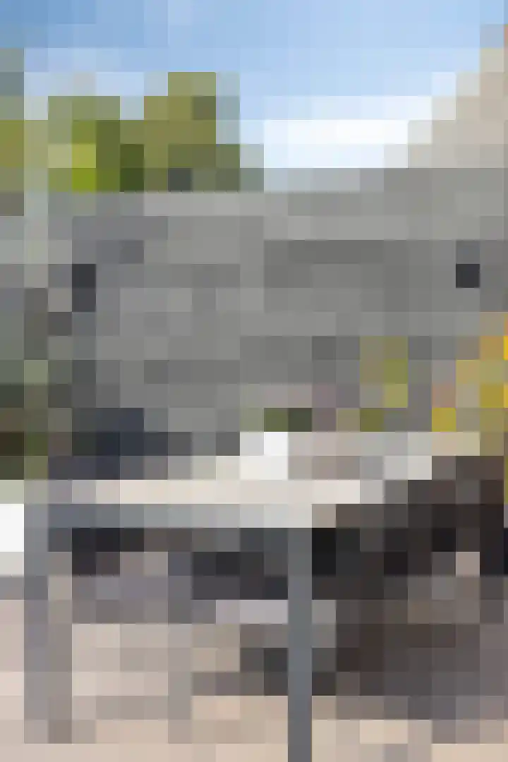 Aan de Vaarsloot 5 Ammerstol thumbnail 39
