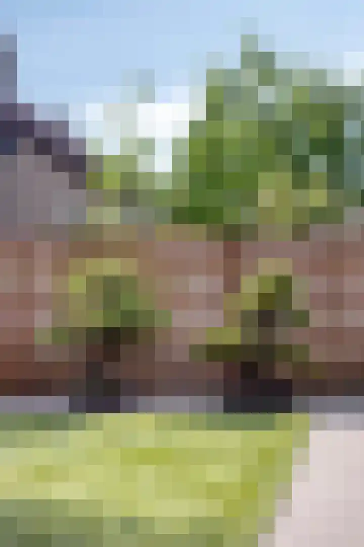 Aan de Vaarsloot 5 Ammerstol thumbnail 41