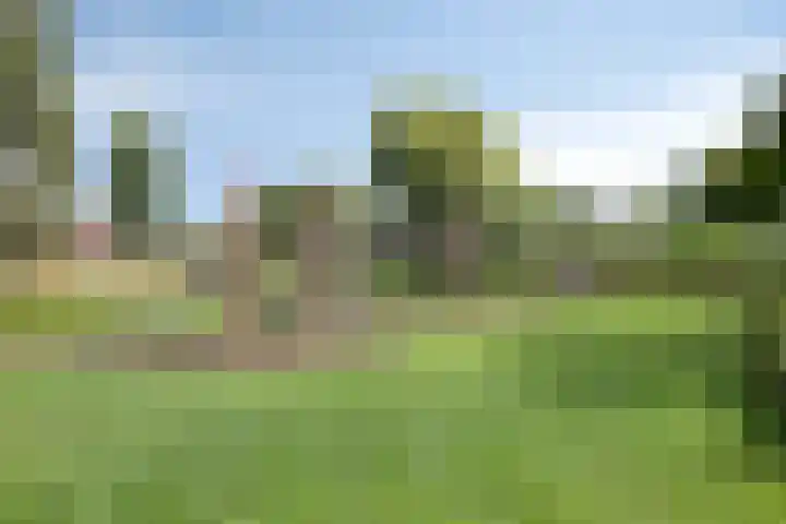 Aan de Vaarsloot 5 Ammerstol thumbnail 42