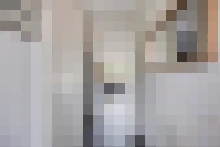 Aan de Vaarsloot 5 Ammerstol thumbnail 7