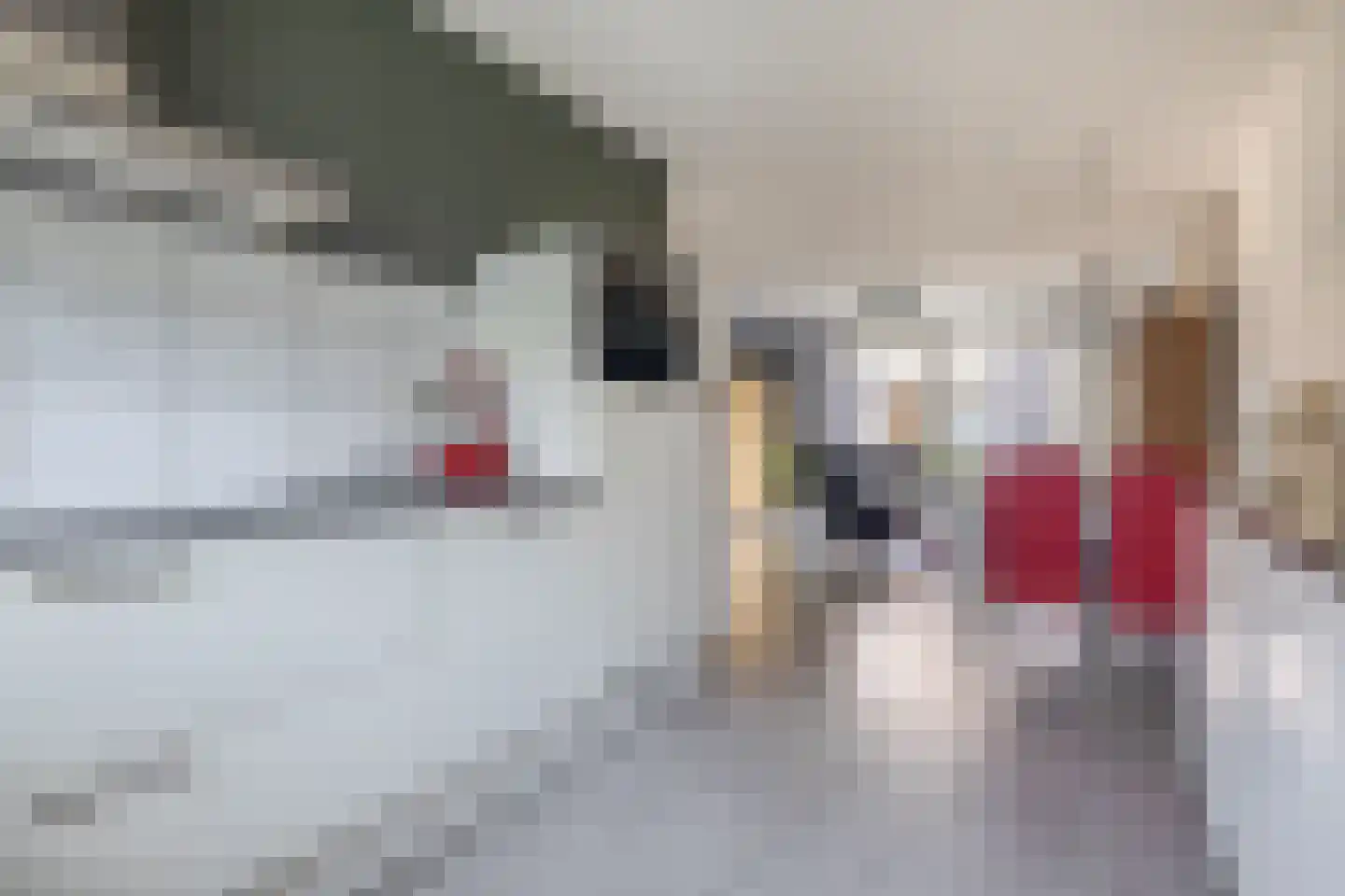 Aan de Vaarsloot 8 Ammerstol thumbnail 13