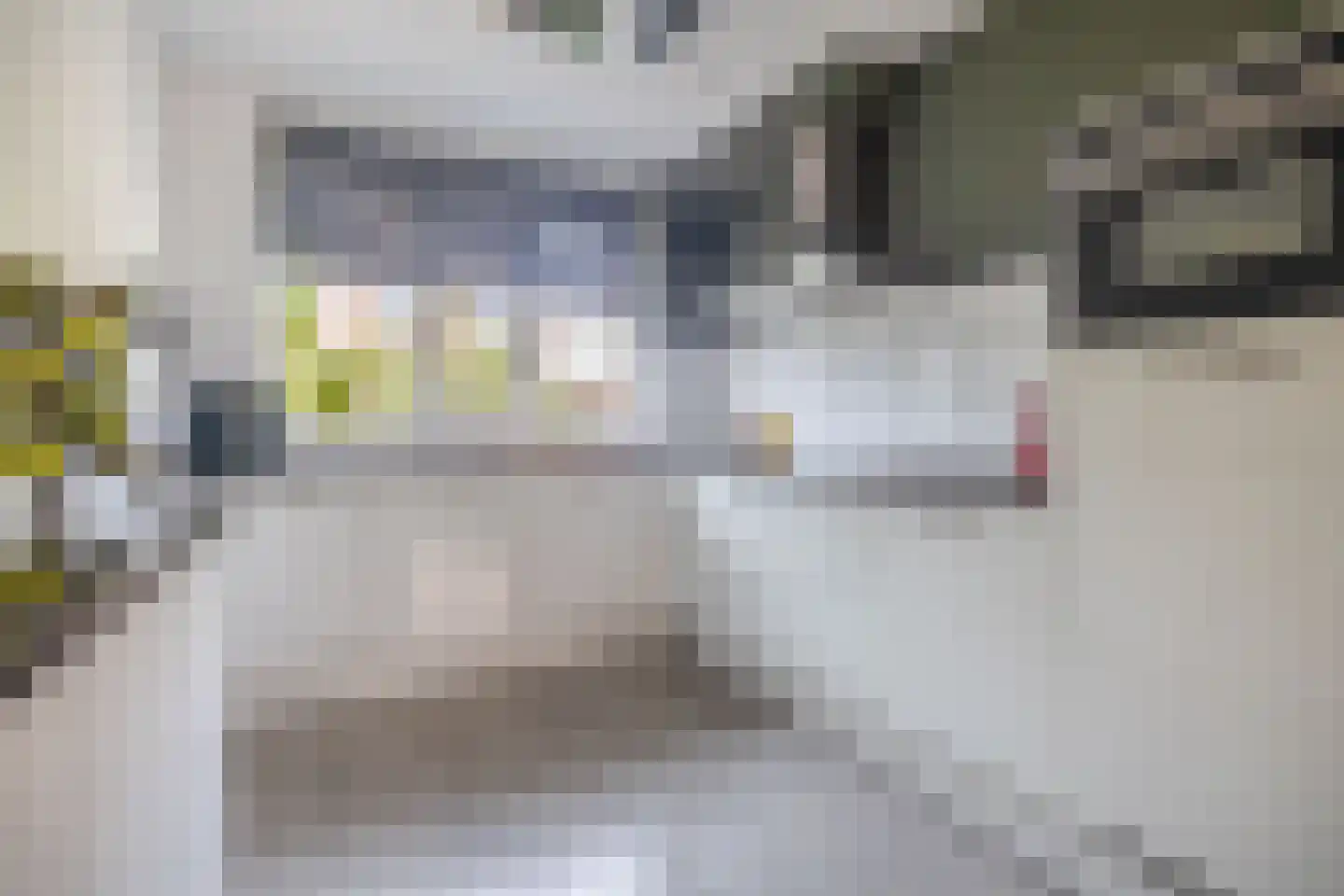 Aan de Vaarsloot 8 Ammerstol thumbnail 4