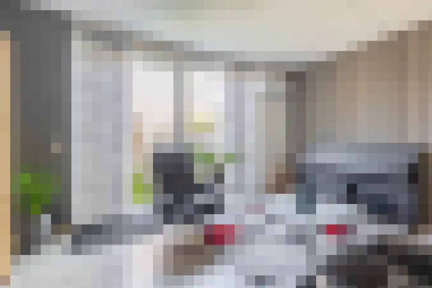 Aan de Vaarsloot 8 Ammerstol thumbnail 9