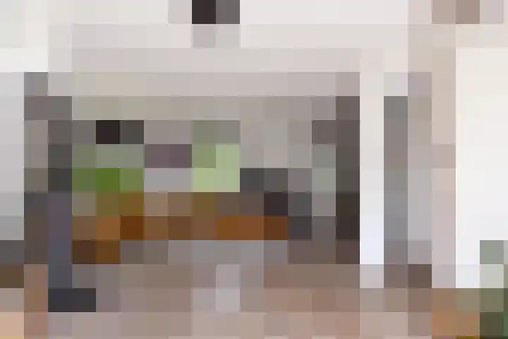 Aan de Vaart 10 Roden thumbnail 15