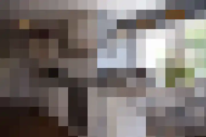 Aan de Vaart 10 Roden thumbnail 18