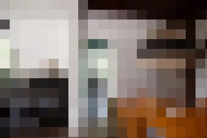 Aan de Vaart 10 Roden thumbnail 21