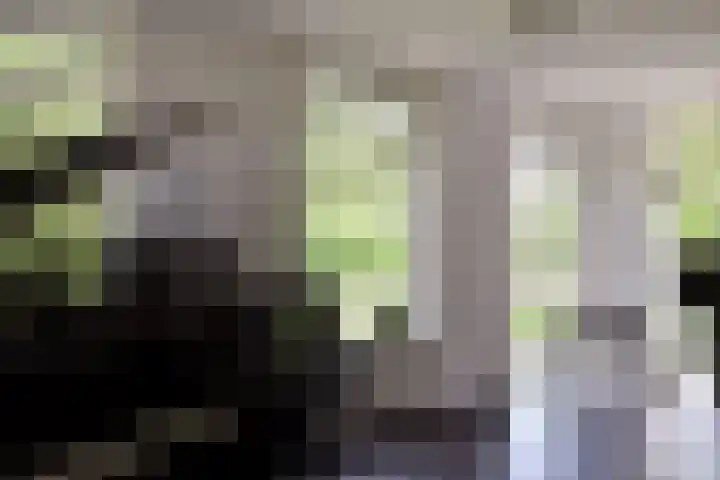 Aan de Vaart 10 Roden thumbnail 22