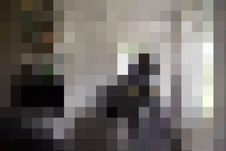 Aan de Vaart 10 Roden thumbnail 23