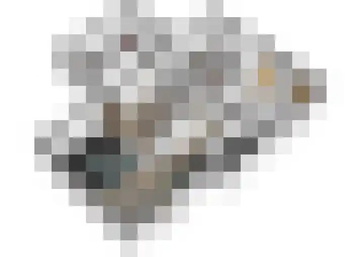 Aan de Vaart 10 Roden thumbnail 35