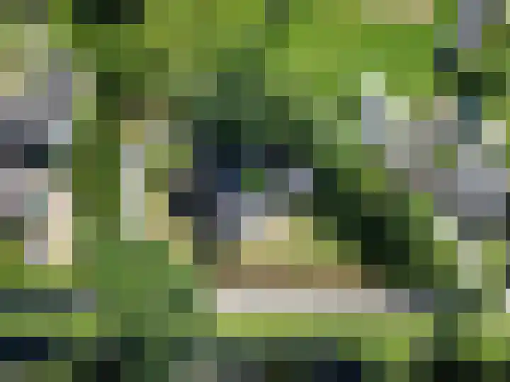 Aan de Vaart 10 Roden thumbnail 39