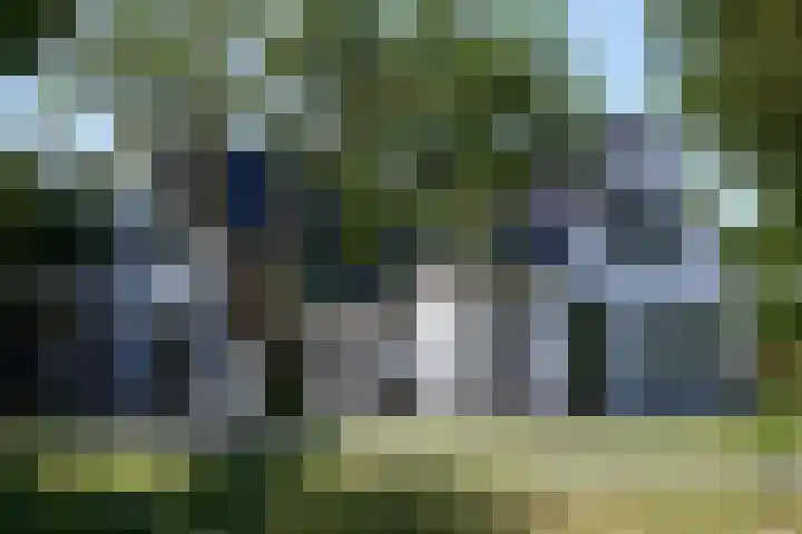 Aan de Vaart 10 Roden thumbnail 41