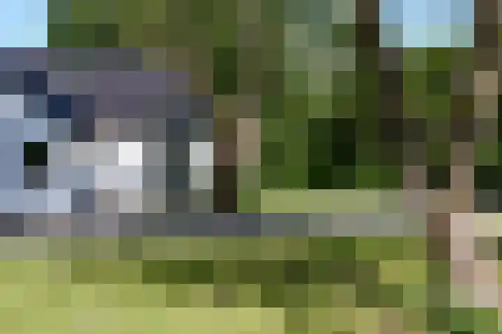 Aan de Vaart 10 Roden thumbnail 5
