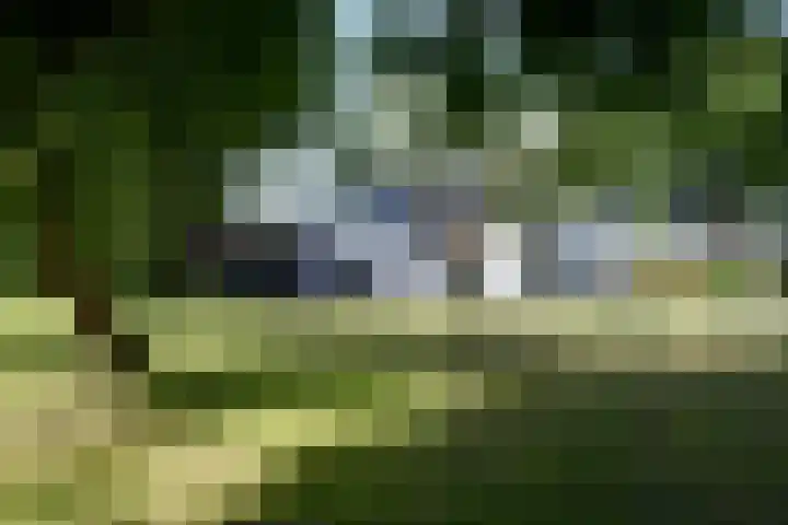 Aan de Vaart 10 Roden thumbnail 7