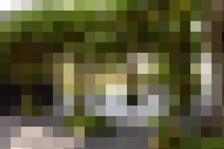 Aan de Vaart 10 Roden thumbnail 8