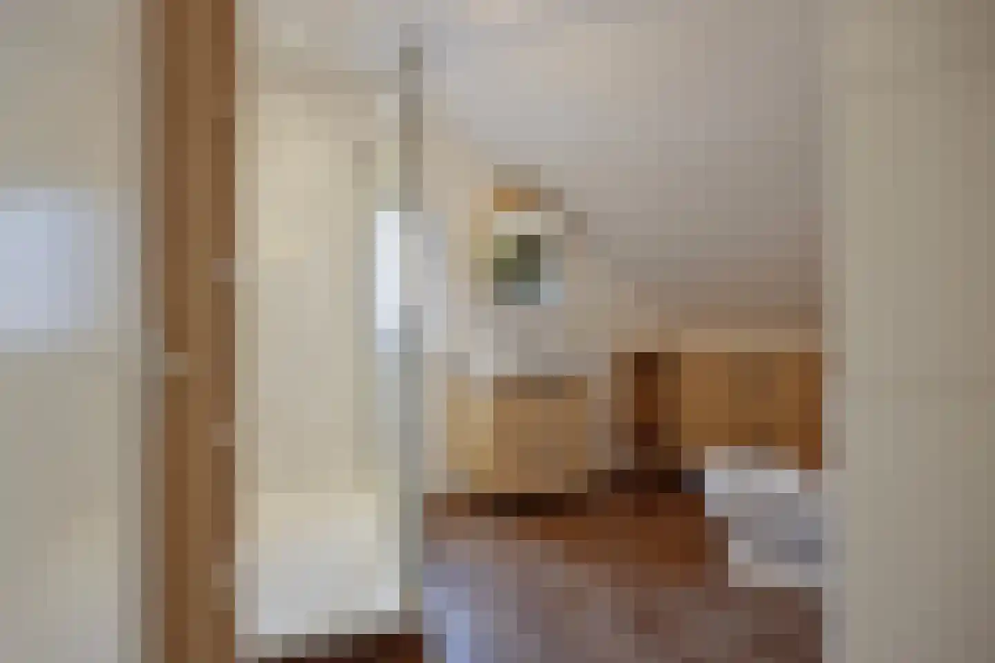Aan de Veldkoul 6 Sint Geertruid thumbnail 23