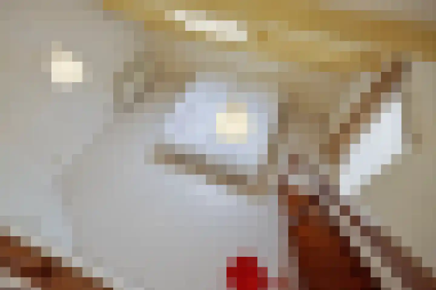 Aan de Veldkoul 6 Sint Geertruid thumbnail 32