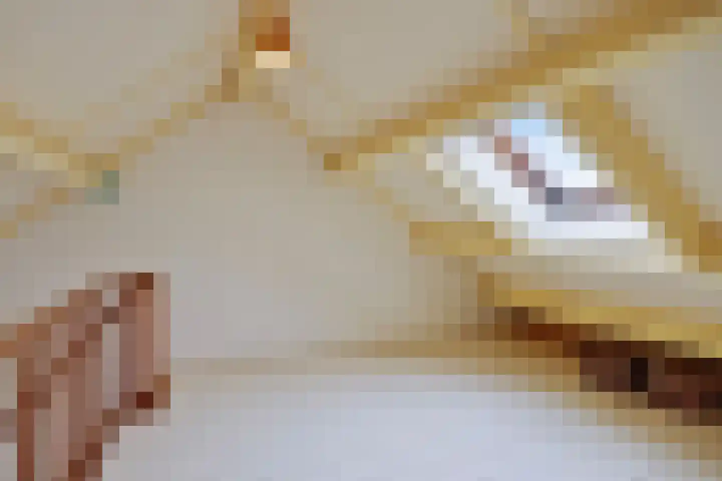Aan de Veldkoul 6 Sint Geertruid thumbnail 33