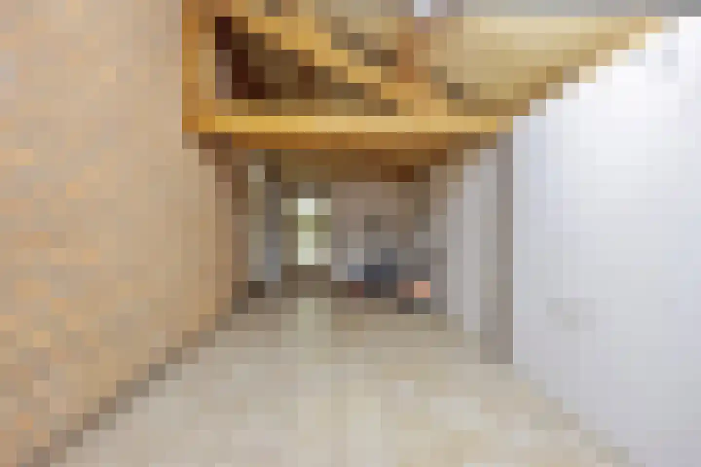 Aan de Veldkoul 6 Sint Geertruid thumbnail 36