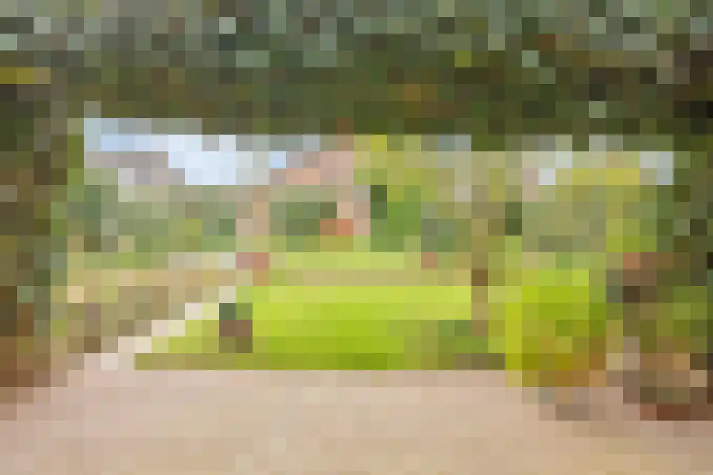 Aan de Veldkoul 6 Sint Geertruid thumbnail 38