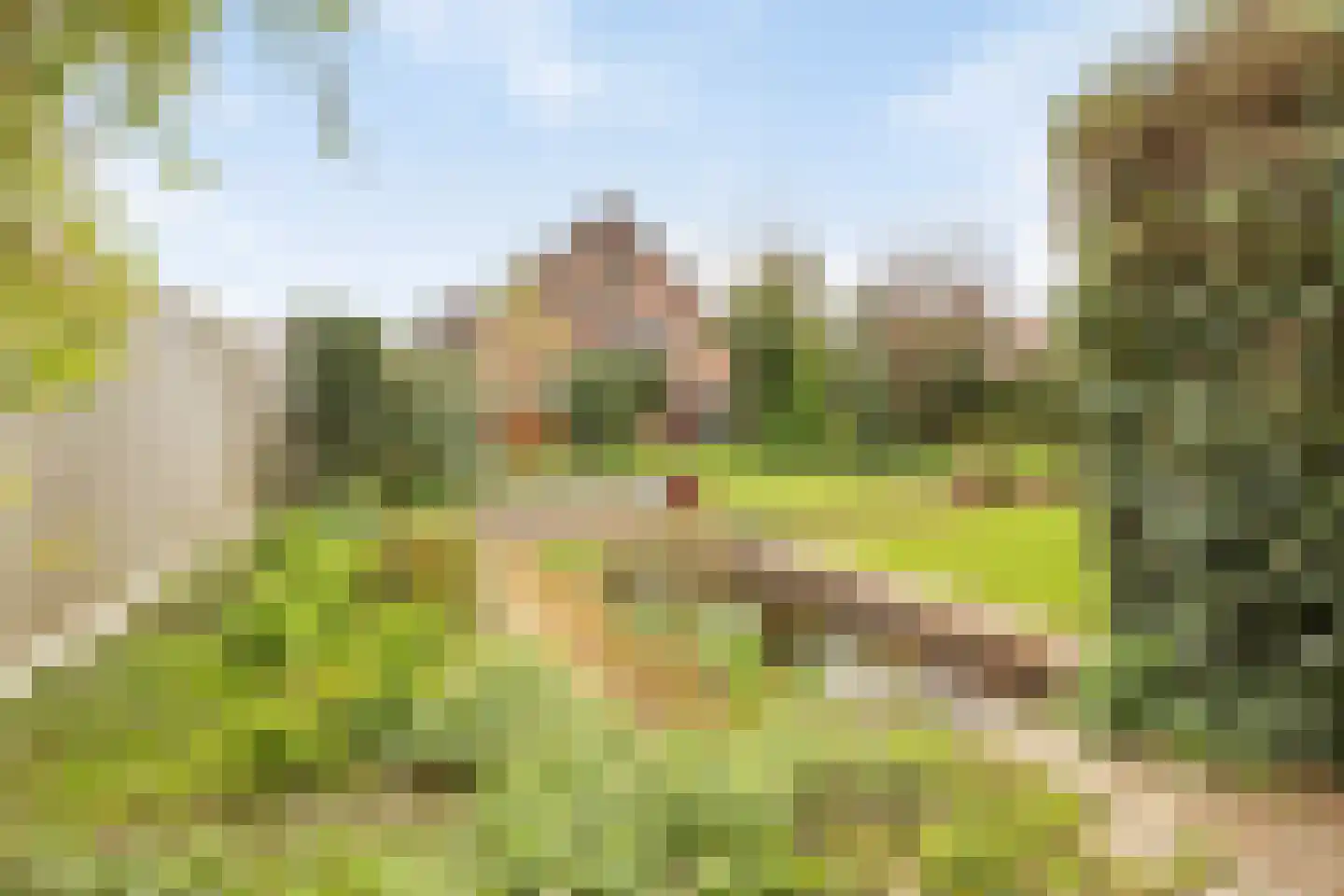 Aan de Veldkoul 6 Sint Geertruid thumbnail 39